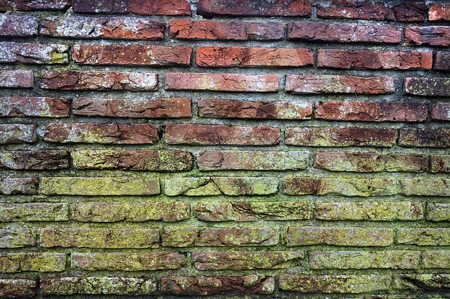 Rotem Mauer mit grünem Schimmelbefall